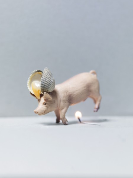 ©Emmanuel Pierrot - cochon a la coq 1